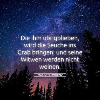 Picture 05 - Hiob 27:15 LUTH1912 - Die ihm übrigblieben, wird die Seuche ins Grab - Bible Verse Picture