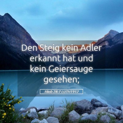 Picture 05 - Hiob 28:7 LUTH1912 - Den Steig kein Adler erkannt hat und kein - Bible Verse Picture