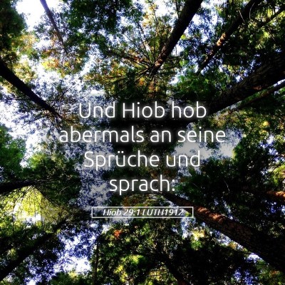 Picture 05 - Hiob 29:1 LUTH1912 - Und Hiob hob abermals an seine Sprüche und - Bible Verse Picture