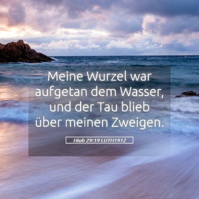 Picture 05 - Hiob 29:19 LUTH1912 - Meine Wurzel war aufgetan dem Wasser, und der Tau - Bible Verse Picture