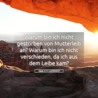 Picture 05 - Hiob 3:11 LUTH1912 - Warum bin ich nicht gestorben von Mutterleib an? - Bible Verse Picture