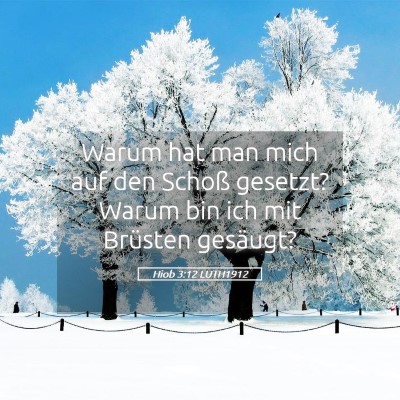 Picture 05 - Hiob 3:12 LUTH1912 - Warum hat man mich auf den Schoß gesetzt? Warum - Bible Verse Picture