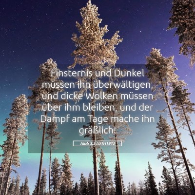 Picture 05 - Hiob 3:5 LUTH1912 - Finsternis und Dunkel müssen ihn überwältigen, - Bible Verse Picture