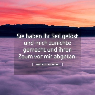 Picture 05 - Hiob 30:11 LUTH1912 - Sie haben ihr Seil gelöst und mich zunichte - Bible Verse Picture