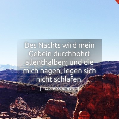 Picture 05 - Hiob 30:17 LUTH1912 - Des Nachts wird mein Gebein durchbohrt - Bible Verse Picture