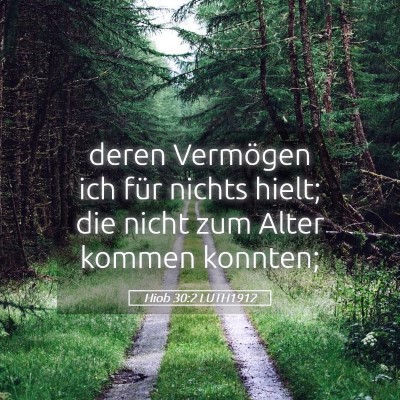 Picture 05 - Hiob 30:2 LUTH1912 - deren Vermögen ich für nichts hielt; die nicht - Bible Verse Picture