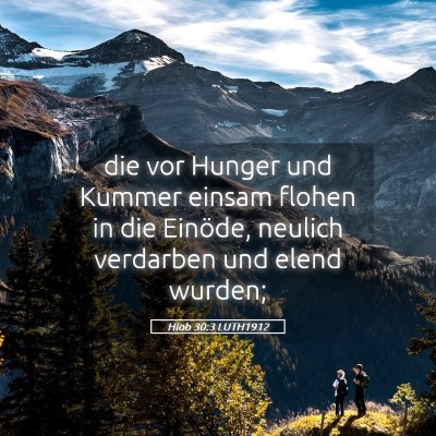 Picture 05 - Hiob 30:3 LUTH1912 - die vor Hunger und Kummer einsam flohen in die - Bible Verse Picture