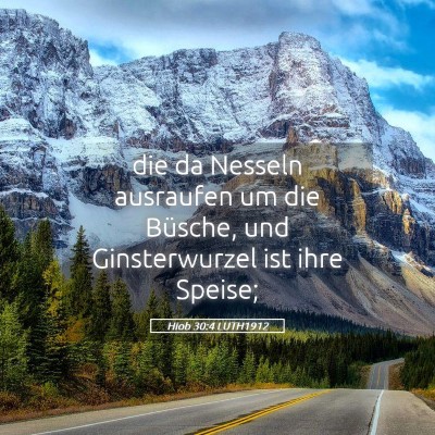 Picture 05 - Hiob 30:4 LUTH1912 - die da Nesseln ausraufen um die Büsche, und - Bible Verse Picture
