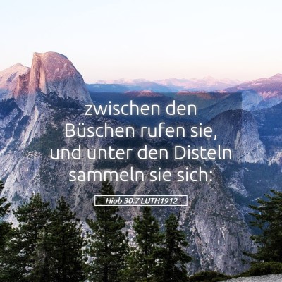 Picture 05 - Hiob 30:7 LUTH1912 - zwischen den Büschen rufen sie, und unter den - Bible Verse Picture