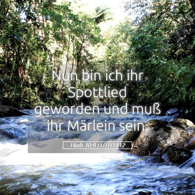 Picture 05 - Hiob 30:9 LUTH1912 - Nun bin ich ihr Spottlied geworden und muß ihr - Bible Verse Picture