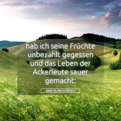 Picture 05 - Hiob 31:39 LUTH1912 - hab ich seine Früchte unbezahlt gegessen und das - Bible Verse Picture
