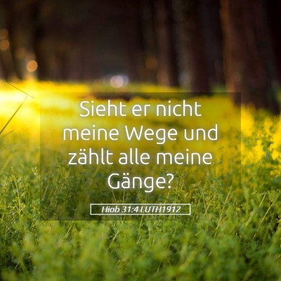 Picture 05 - Hiob 31:4 LUTH1912 - Sieht er nicht meine Wege und zählt alle meine - Bible Verse Picture