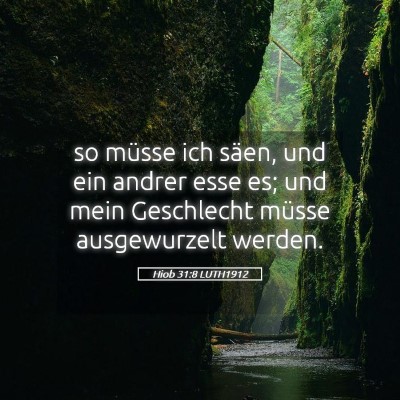 Picture 05 - Hiob 31:8 LUTH1912 - so müsse ich säen, und ein andrer esse es; und - Bible Verse Picture