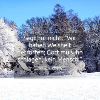 Picture 05 - Hiob 32:13 LUTH1912 - Sagt nur nicht: “Wir haben Weisheit getroffen; - Bible Verse Picture