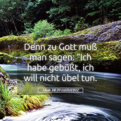 Picture 05 - Hiob 34:31 LUTH1912 - Denn zu Gott muß man sagen: “Ich habe - Bible Verse Picture