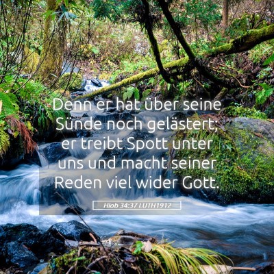 Picture 05 - Hiob 34:37 LUTH1912 - Denn er hat über seine Sünde noch gelästert; - Bible Verse Picture