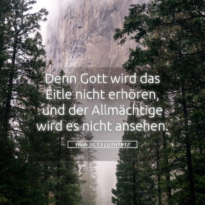 Picture 05 - Hiob 35:13 LUTH1912 - Denn Gott wird das Eitle nicht erhören, und der - Bible Verse Picture