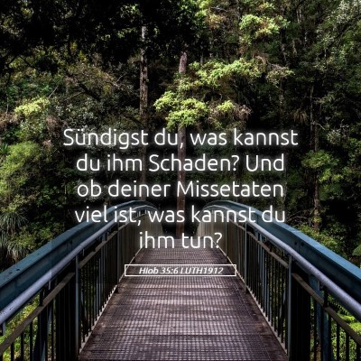 Picture 05 - Hiob 35:6 LUTH1912 - Sündigst du, was kannst du ihm Schaden? Und ob - Bible Verse Picture