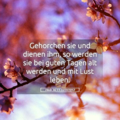 Picture 05 - Hiob 36:11 LUTH1912 - Gehorchen sie und dienen ihm, so werden sie bei - Bible Verse Picture