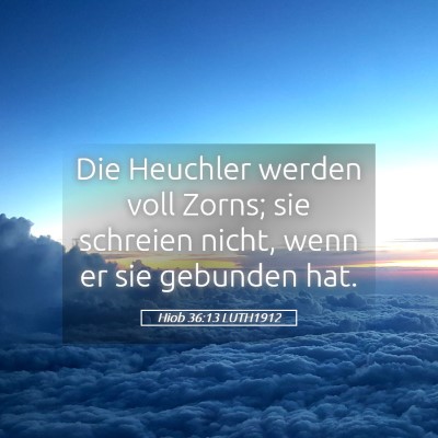Picture 05 - Hiob 36:13 LUTH1912 - Die Heuchler werden voll Zorns; sie schreien - Bible Verse Picture