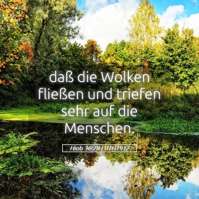 Picture 05 - Hiob 36:28 LUTH1912 - daß die Wolken fließen und triefen sehr auf die - Bible Verse Picture