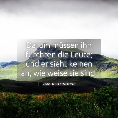 Picture 05 - Hiob 37:24 LUTH1912 - Darum müssen ihn fürchten die Leute; und er - Bible Verse Picture