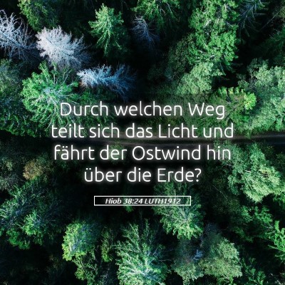 Picture 05 - Hiob 38:24 LUTH1912 - Durch welchen Weg teilt sich das Licht und fährt - Bible Verse Picture
