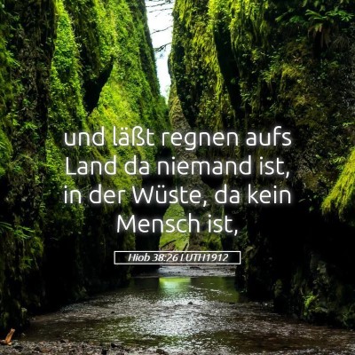 Picture 05 - Hiob 38:26 LUTH1912 - und läßt regnen aufs Land da niemand ist, in - Bible Verse Picture