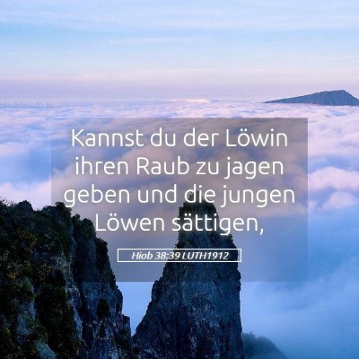 Picture 05 - Hiob 38:39 LUTH1912 - Kannst du der Löwin ihren Raub zu jagen geben - Bible Verse Picture