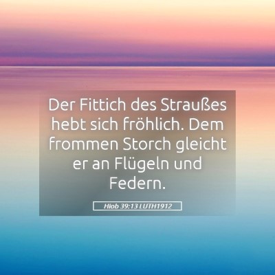Picture 05 - Hiob 39:13 LUTH1912 - Der Fittich des Straußes hebt sich fröhlich. - Bible Verse Picture