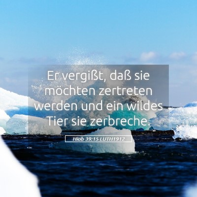Picture 05 - Hiob 39:15 LUTH1912 - Er vergißt, daß sie möchten zertreten werden - Bible Verse Picture