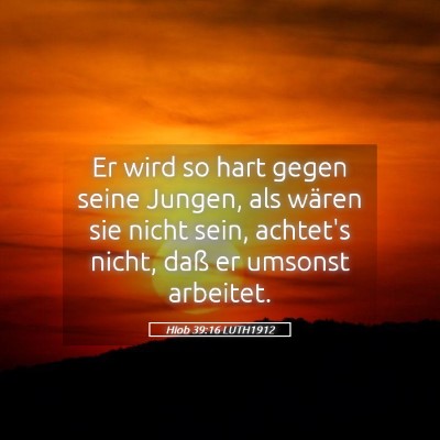 Picture 05 - Hiob 39:16 LUTH1912 - Er wird so hart gegen seine Jungen, als wären - Bible Verse Picture