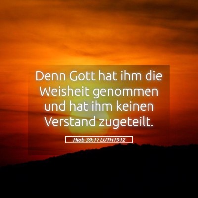 Picture 05 - Hiob 39:17 LUTH1912 - Denn Gott hat ihm die Weisheit genommen und hat - Bible Verse Picture