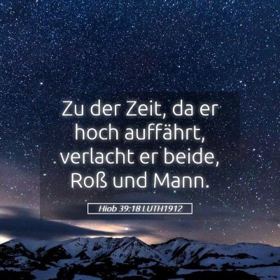 Picture 05 - Hiob 39:18 LUTH1912 - Zu der Zeit, da er hoch auffährt, verlacht er - Bible Verse Picture