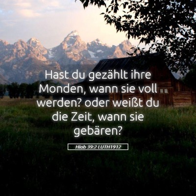 Picture 05 - Hiob 39:2 LUTH1912 - Hast du gezählt ihre Monden, wann sie voll - Bible Verse Picture