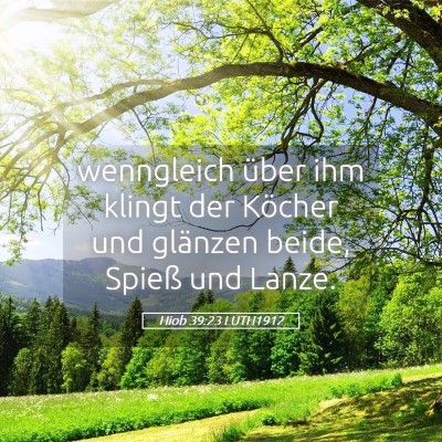 Picture 05 - Hiob 39:23 LUTH1912 - wenngleich über ihm klingt der Köcher und - Bible Verse Picture