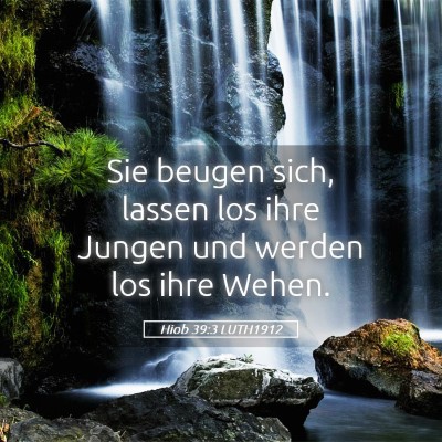 Picture 05 - Hiob 39:3 LUTH1912 - Sie beugen sich, lassen los ihre Jungen und - Bible Verse Picture