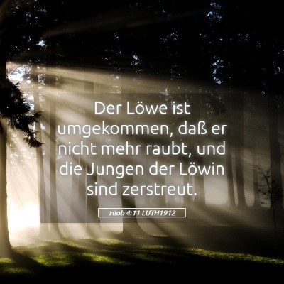 Picture 05 - Hiob 4:11 LUTH1912 - Der Löwe ist umgekommen, daß er nicht mehr - Bible Verse Picture