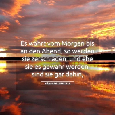 Picture 05 - Hiob 4:20 LUTH1912 - Es währt vom Morgen bis an den Abend, so werden - Bible Verse Picture