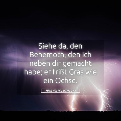 Picture 05 - Hiob 40:15 LUTH1912 - Siehe da, den Behemoth, den ich neben dir gemacht - Bible Verse Picture