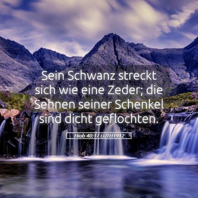 Picture 05 - Hiob 40:17 LUTH1912 - Sein Schwanz streckt sich wie eine Zeder; die - Bible Verse Picture