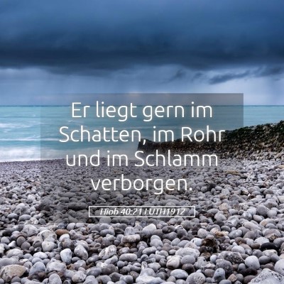 Picture 05 - Hiob 40:21 LUTH1912 - Er liegt gern im Schatten, im Rohr und im Schlamm - Bible Verse Picture