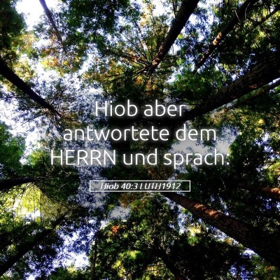 Picture 05 - Hiob 40:3 LUTH1912 - Hiob aber antwortete dem HERRN und - Bible Verse Picture