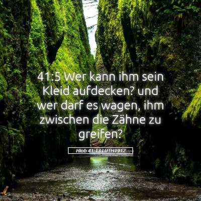 Picture 05 - Hiob 41:13 LUTH1912 - 41:5 Wer kann ihm sein Kleid aufdecken? und wer - Bible Verse Picture