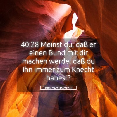 Picture 05 - Hiob 41:4 LUTH1912 - 40:28 Meinst du, daß er einen Bund mit dir - Bible Verse Picture