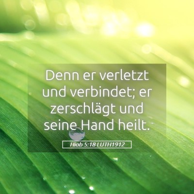 Picture 05 - Hiob 5:18 LUTH1912 - Denn er verletzt und verbindet; er zerschlägt - Bible Verse Picture