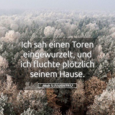 Picture 05 - Hiob 5:3 LUTH1912 - Ich sah einen Toren eingewurzelt, und ich fluchte - Bible Verse Picture
