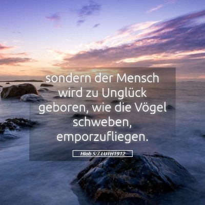 Picture 05 - Hiob 5:7 LUTH1912 - sondern der Mensch wird zu Unglück geboren, wie - Bible Verse Picture