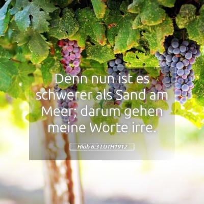 Picture 05 - Hiob 6:3 LUTH1912 - Denn nun ist es schwerer als Sand am Meer; darum - Bible Verse Picture