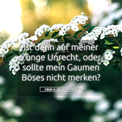 Picture 05 - Hiob 6:30 LUTH1912 - Ist denn auf meiner Zunge Unrecht, oder sollte - Bible Verse Picture